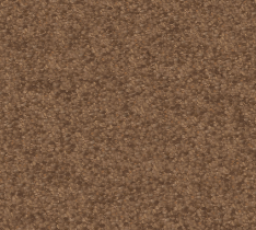 cw4_effect_materialize.gif cw4_effect_materialize.gif